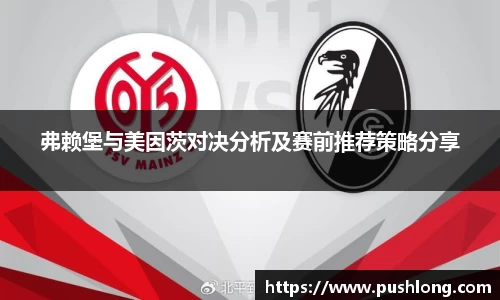 弗赖堡与美因茨对决分析及赛前推荐策略分享